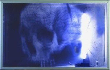 Skull boxes,(blue skull),2002, 92 x 60 x 17 cm